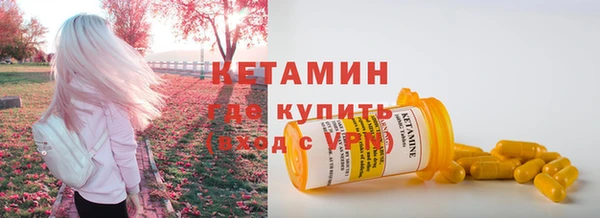 индика Осинники