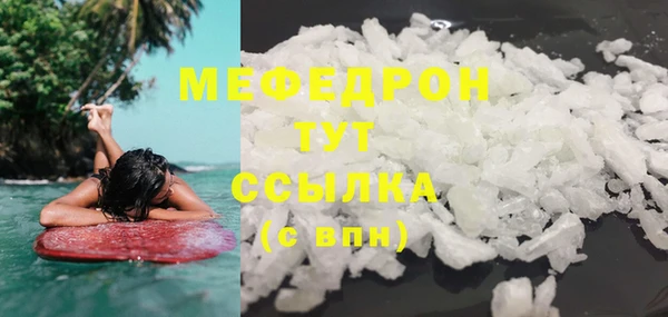 индика Осинники