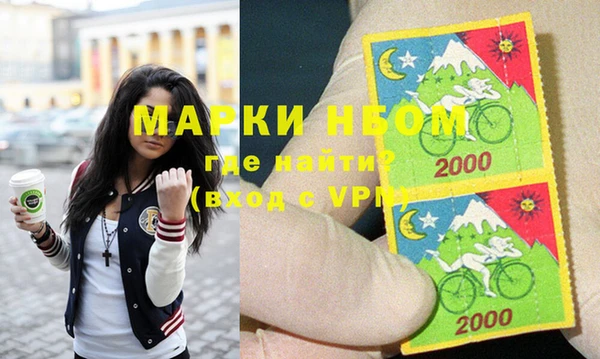 индика Осинники