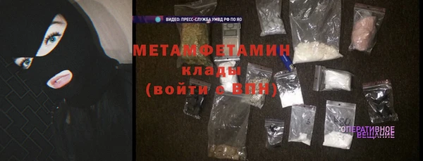 индика Осинники