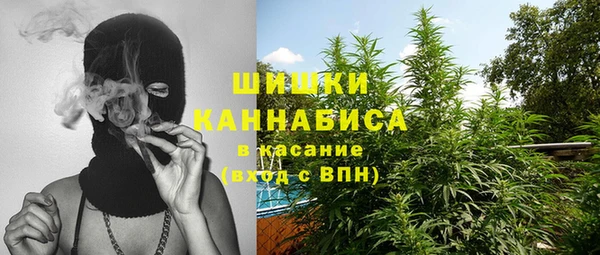 индика Осинники