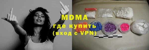индика Осинники