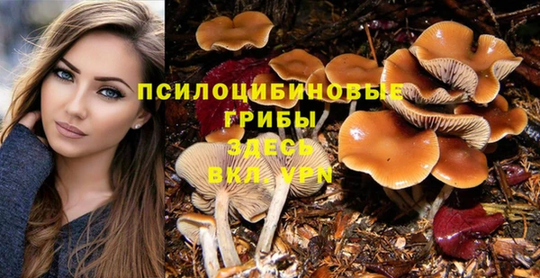 сатива Заволжье
