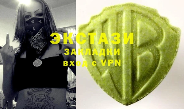 индика Осинники