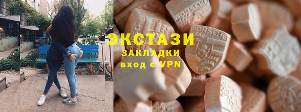индика Осинники