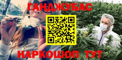 шишки Абакан