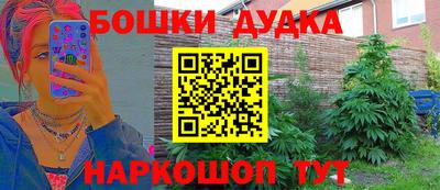 шишки Абакан