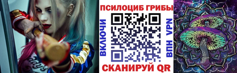 Псилоцибиновые грибы мухоморы  Истра 