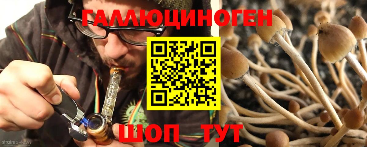 Галлюциногенные грибы ЛСД Истра