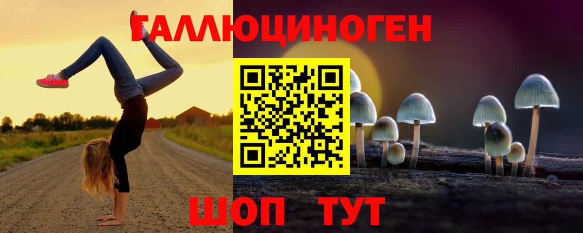 Галлюциногенные грибы MAGIC MUSHROOMS  Псилоцибиновые грибы мицелий  Вход с VPN  Истра 